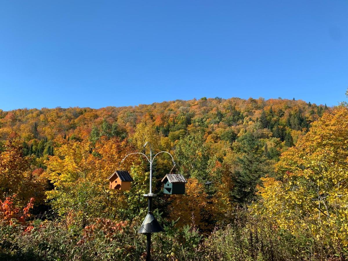 Loft Nature Laurentides Val-des-Lacs Exteriör bild