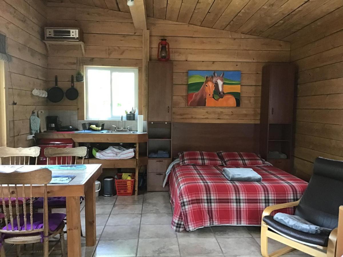 Loft Nature Laurentides Val-des-Lacs Exteriör bild