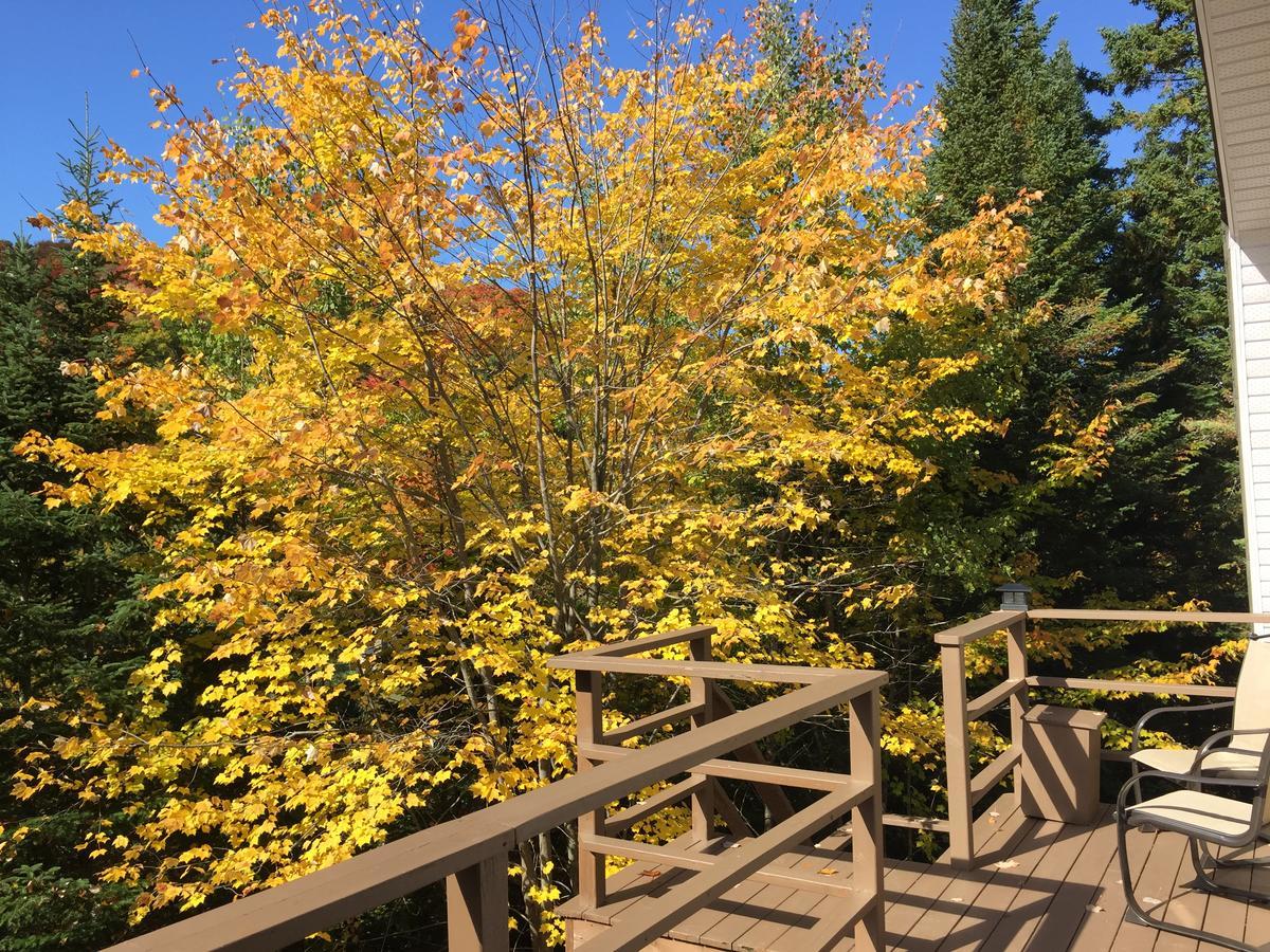 Loft Nature Laurentides Val-des-Lacs Exteriör bild