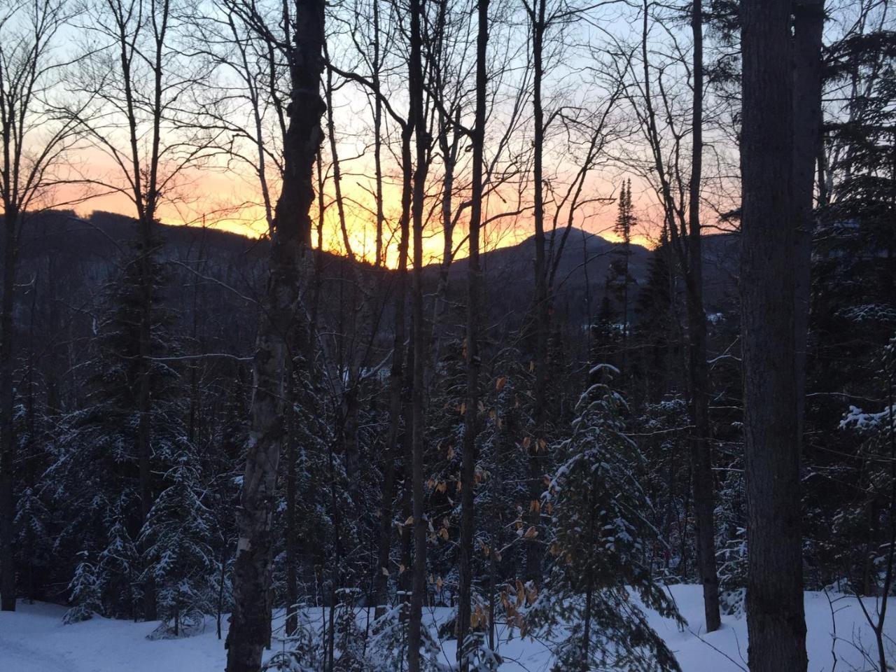 Loft Nature Laurentides Val-des-Lacs Exteriör bild
